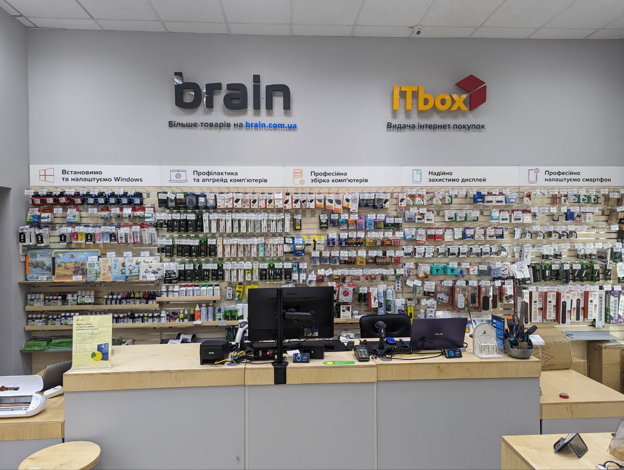 Brain
